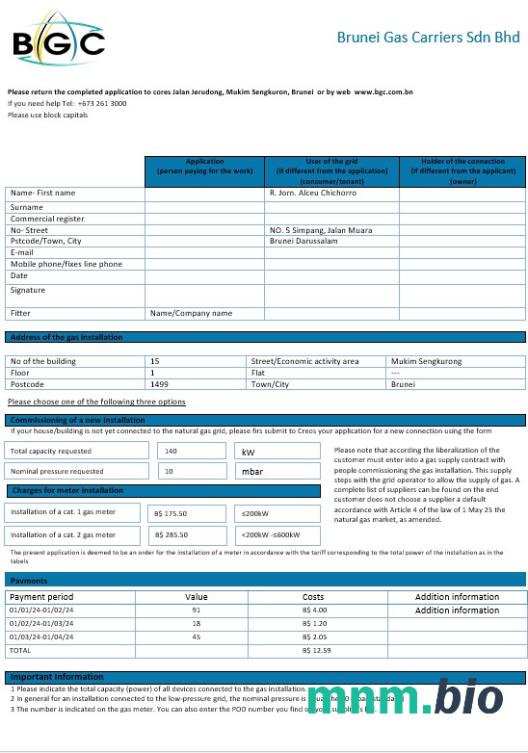 Brunei Gas Carriers Gas rachunek za usługi komunalne szablon w formacie Word i PDF